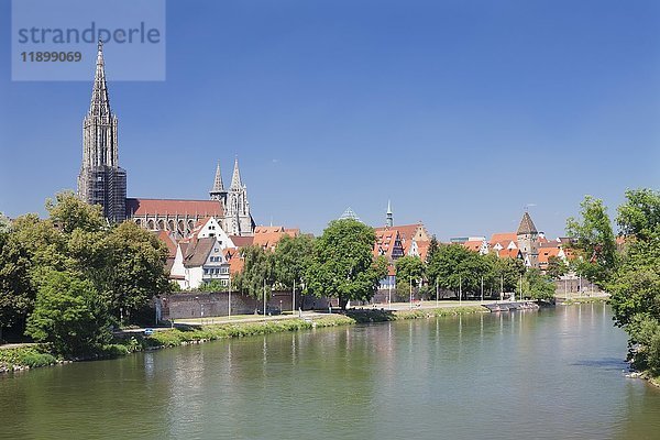 Blick über die Donau auf das Münster  Ulm  Baden Württemberg  Deutschland  Europa