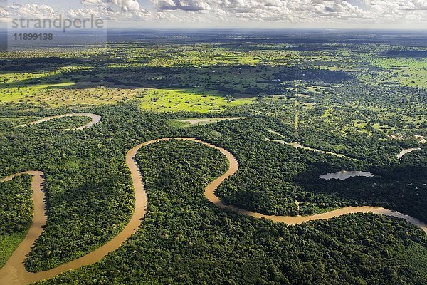 Rio Aquidauana fließt durch Dschungel  Pantanal  Mato Grosso do Sul  Brasilien  Südamerika