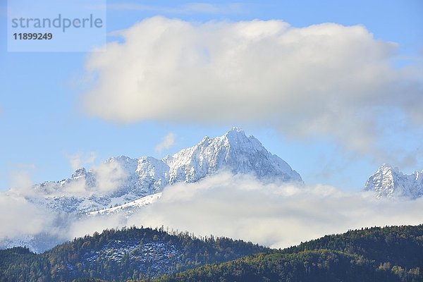 Schneebedeckte Tannheimer Berge  gesehen von Schwangau  Allgäu  Bayern  Deutschland  Europa