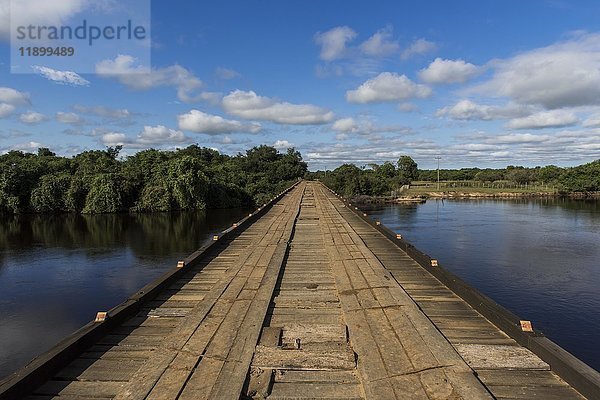 Holzbrücke über den Fluss Rio Negro  Pantanal  Mato Grosso do Sul  Brasilien  Südamerika