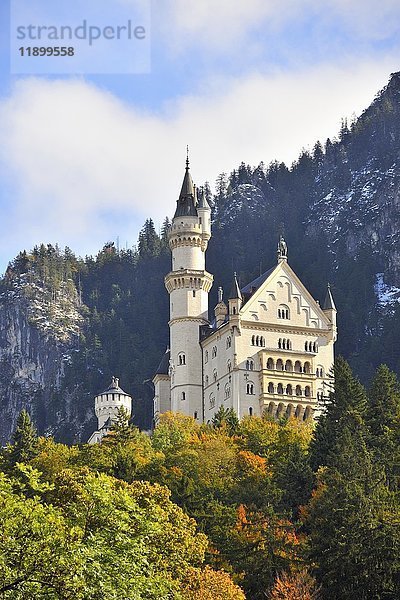 Schloss Neuschwanstein  Schwangau  OstAllgäu  Allgäu  Schwaben  Bayern  Deutschland  Europa
