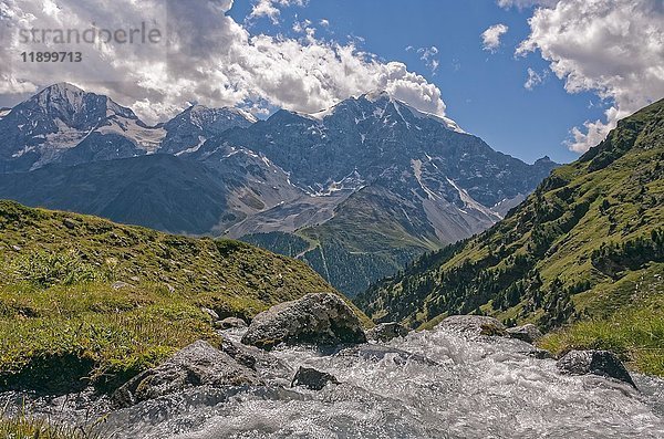 Bergbach vor dem Ortlermassiv  Almwiese  Sulden  Südtirol  Italien  Europa