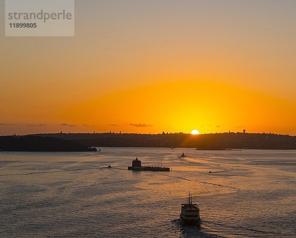 Sonnenaufgang  Boote auf dem Meer  Sydney Harbor  Sydney  New South Wales  Australien  Ozeanien