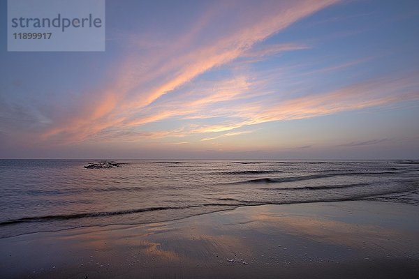 Sonnenuntergang an der Nordsee  Texel  Nordholland  Niederlande