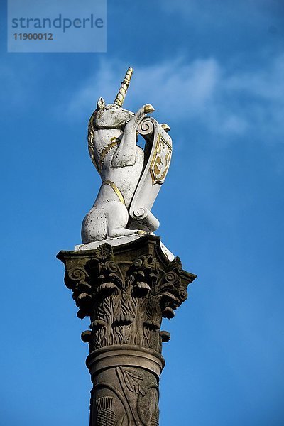 Säule mit Einhorn  Nationalsymbol von Schottland  Aberdeen  Schottland  Vereinigtes Königreich  Europa
