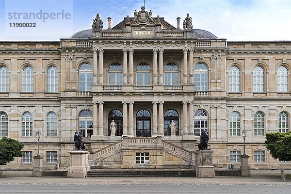 Herzogliches Museum Gotha  Gotha  Thüringen  Deutschland  Europa