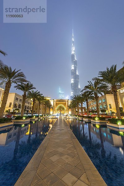 Palmen und Springbrunnen  Burj Khalifa  blaue Stunde  Dubai  Emirat Dubai  Vereinigte Arabische Emirate  Asien