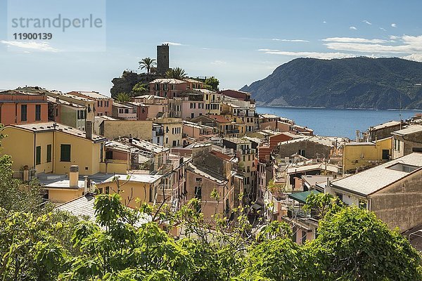 Blick auf die bunten Häuser von Vernazza  La Spezia  Nationalpark Cinque Terre  Ligurien  Italien  Europa
