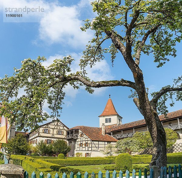 Gärten  alte mittelalterliche Burg  Harburg  Donau-Ries  Bayern  Deutschland  Europa