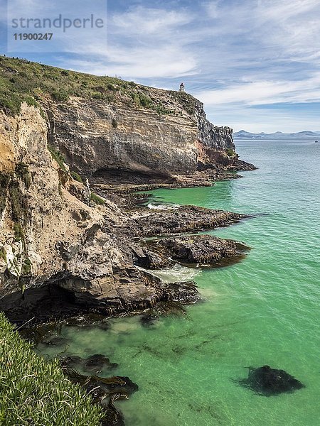 Steilküste Otago-Halbinsel  Dunedin  Region Otago  Südinsel  Neuseeland  Ozeanien