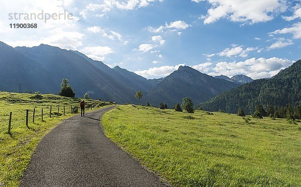 Weg mit Blick auf die Allgäuer Alpen  Bad Hindelang  Allgäu  Bayern  Deutschland  Europa