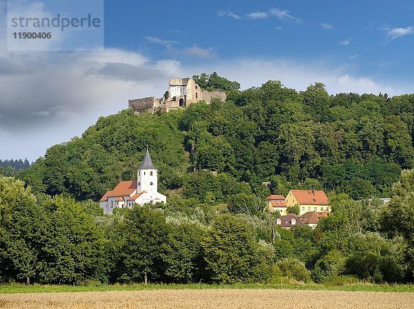 Donaustauf mit Burgruine  Bayerischer Wald  Oberpfalz  Bayern  Deutschland  Europa