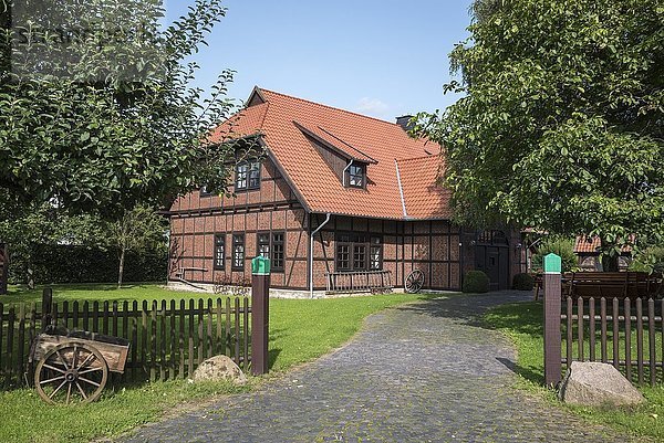Historische Fachwerkhäuser  Mühle Dützen  Minden  Westfälische Mühlenstraße  Nordrhein-Westfalen  Deutschland  Europa