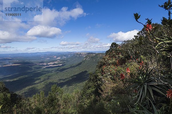 Gods Window  Panorama Route  Mpumalanga  Südafrika  Afrika