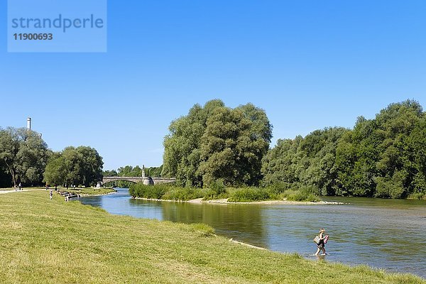 Wittelsbacher Brücke  Weideninsel  Isar  Stadtteil Au  München  Oberbayern  Bayern  Deutschland  Europa