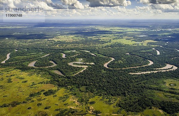 Rio Aquidauana  Pantanal  Mato Grosso do Sul  Brasilien  Südamerika