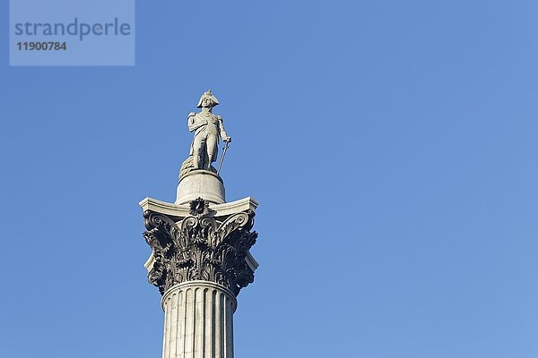 Nelsons Säule  Admiral Lord Nelson  Trafalgar Square  London  England  Vereinigtes Königreich  Europa