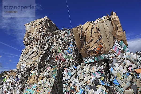 Alte Papierbälle in einer Recyclinganlage  Deutschland  Europa