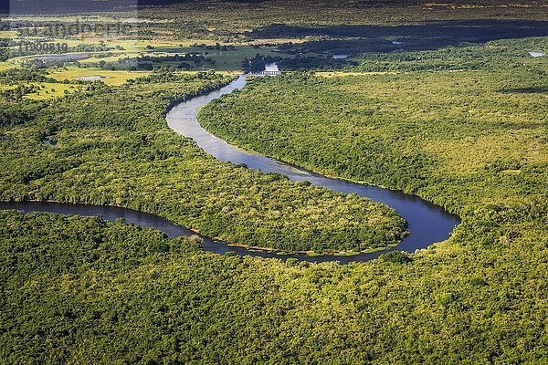 Rio Negro fließt durch Dschungel  Pantanal  Mato Grosso do Sul  Brasilien  Südamerika