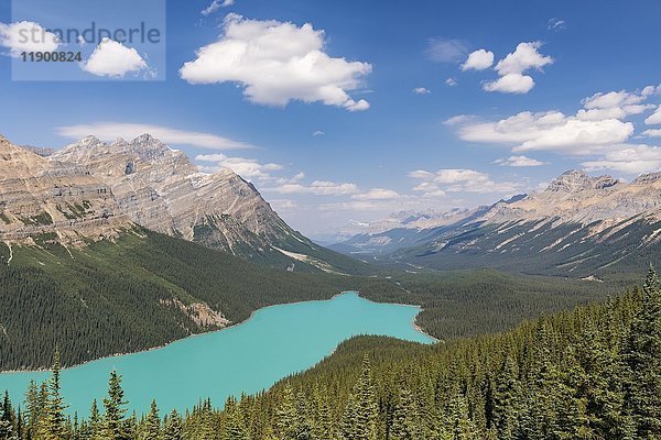 Peyto Lake  Banff National Park  Kanadische Rocky Mountains  Alberta  Kanada  Nordamerika