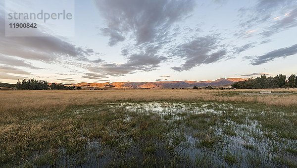 Abenddämmerung  weite Landschaft vor karger Bergkette  St. Bathans  Otago  Neuseeland  Ozeanien