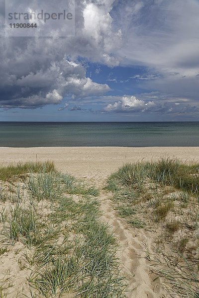 Strand und Ostsee bei Baabe  Ostsee  Rügen  Mecklenburg-Vorpommern  Deutschland  Europa