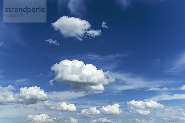 Schönes Wetter Wolken Cumulus  blauer Himmel  Bayern  Deutschland  Europa