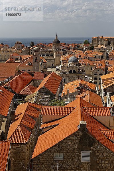 Blick von der Stadtmauer auf die Altstadt von Dubrovnik  Süddalmatien  Dalmatien  Kroatien  Europa