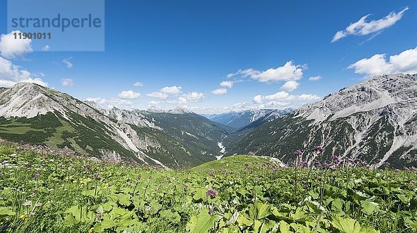 Allgäuer Alpen  Blick in ein Tal  Bad Hindelang  Allgäu  Bayern  Deutschland  Europa