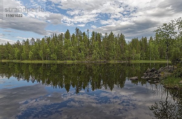 Spiegelung eines Mischwaldes in einem See  Juuma  Finnland  Europa