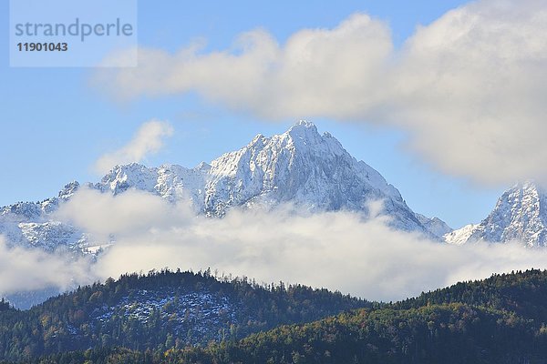 Schneebedeckte Tannheimer Berge  gesehen von Schwangau  Allgäu  Bayern  Deutschland  Europa