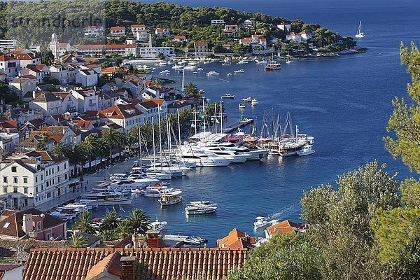 Ansicht des Hafens und der Stadt Hvar  Insel Hvar  Split-Dalmatien  Kroatien  Europa