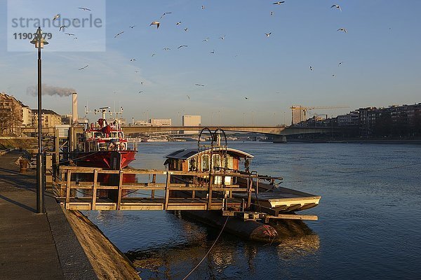 Rheinpromenade mit Schiffen  Basel  Kanton Basel-Stadt  Schweiz  Europa