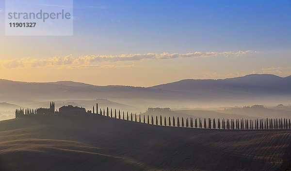 Toskanische Landschaft mit von Zypressen gesäumter Straße und Gehöft bei Sonnenaufgang  Morgengrauen  San Quirico d'Orcia  Val d'Orcia  Toskana  Italien  Europa