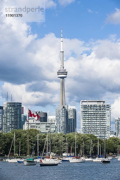 Skyline  Toronto  Ontario  Kanada  Nordamerika
