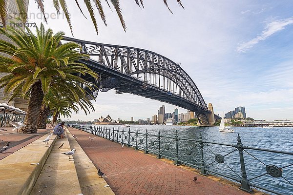 Sydney Harbor Bridge  im Hintergrund das Opernhaus von Sydney  Opernhaus  Sydney  New South Wales  Australien  Ozeanien