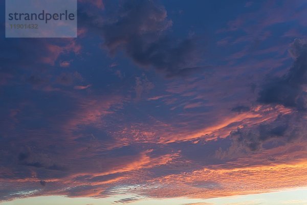 Wolken bei Sonnenuntergang  Abendrot  Niedersachsen  Deutschland  Europa