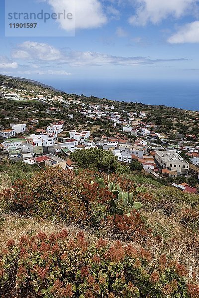 Blick auf das Dorf Taibique mit weißen Häusern  Pflanzen mit roten Blüten  Taibique  El Hierro  Kanarische Inseln  Spanien  Europa