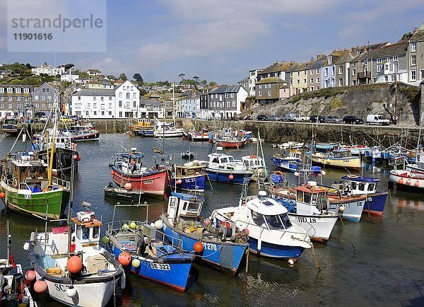 Fischereihafen  Mevagissey  Cornwall  England  Vereinigtes Königreich  Europa