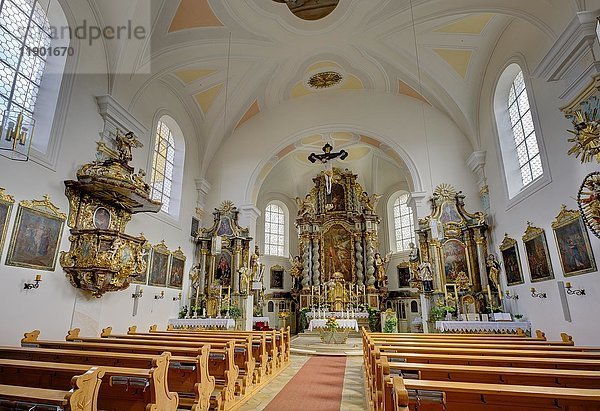 Pfarrkirche St. Michael  Michelsneukirchen  Bayerischer Wald  Oberpfalz  Bayern  Deutschland  Europa