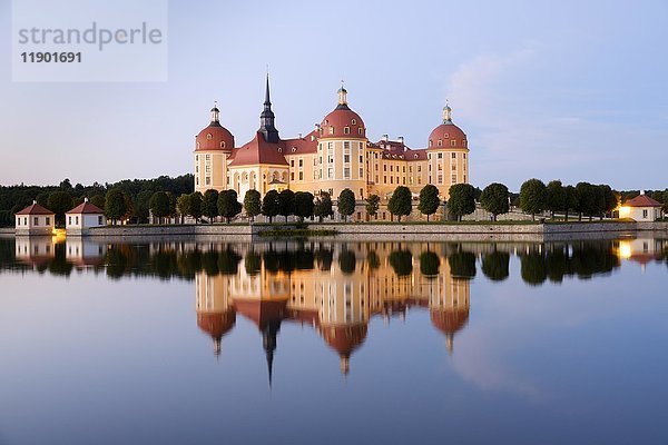 Schloss Moritzburg mit Spiegelung im See  blaue Stunde  Sachsen  Deutschland  Europa