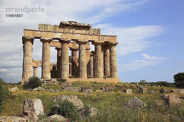 Säulen als Überreste  Tempel E  Archäologische Stätte  Selinunte  Sizilien  Italien  Europa