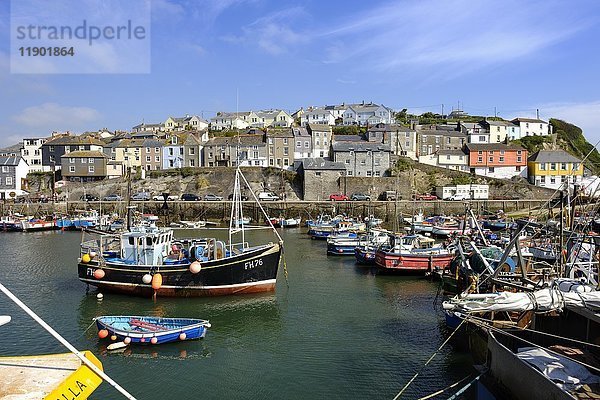 Fischereihafen  Mevagissey  Cornwall  England  Vereinigtes Königreich  Europa