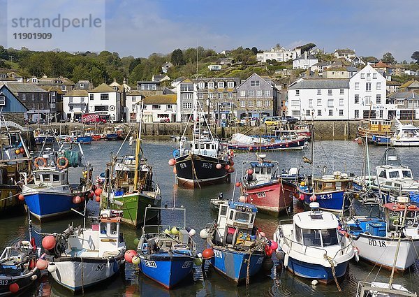 Fischereihafen  Mevagissey  Cornwall  England  Vereinigtes Königreich  Europa