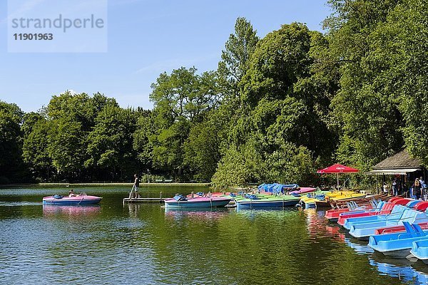 Bootsverleih  Kleinhesseloher See  Englischer Garten  München  Oberbayern  Bayern  Deutschland  Europa