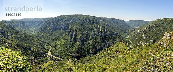 Gorges du Tarn  Blick vom Point Sublime  UNESCO-Welterbe  Regionaler Naturpark Grands Causses  Lozère  Okzitanien  Frankreich  Europa