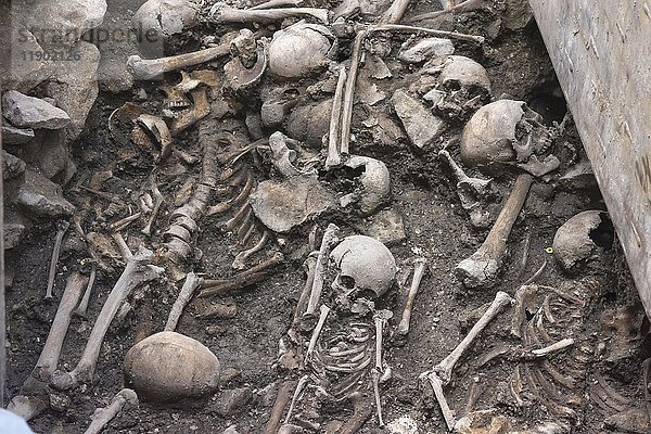 Knochenfunde bei zeitgenössischen Ausgrabungen im Dom St. Peter  Regensburg  Oberpfalz  Bayern  Deutschland  Europa