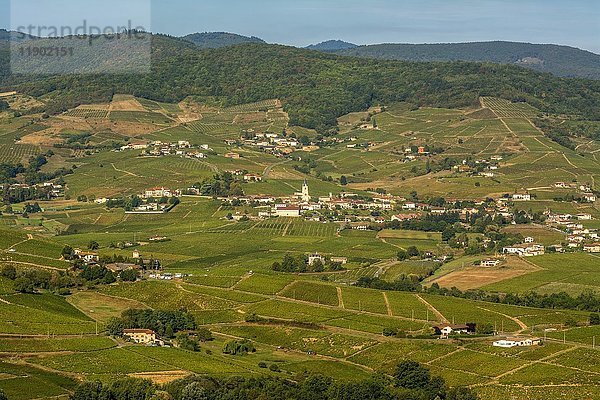 Dorf Quincié-en-Beaujolais  Weinberg Beaujolais  Rhone  Region Auvergne-Rhône-Alpes  Frankreich  Europa