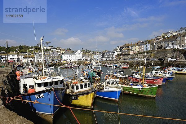 Fischereihafen  Mevagissey  Cornwall  England  Vereinigtes Königreich  Europa