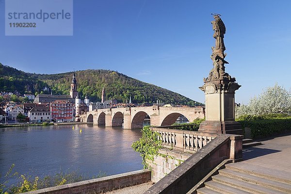 Blick über den Neckar auf die Heiliggeistkirche  Karl-Theodor-Brücke und Brückentor  Heidelberg  Baden-Württemberg  Deutschland  Europa